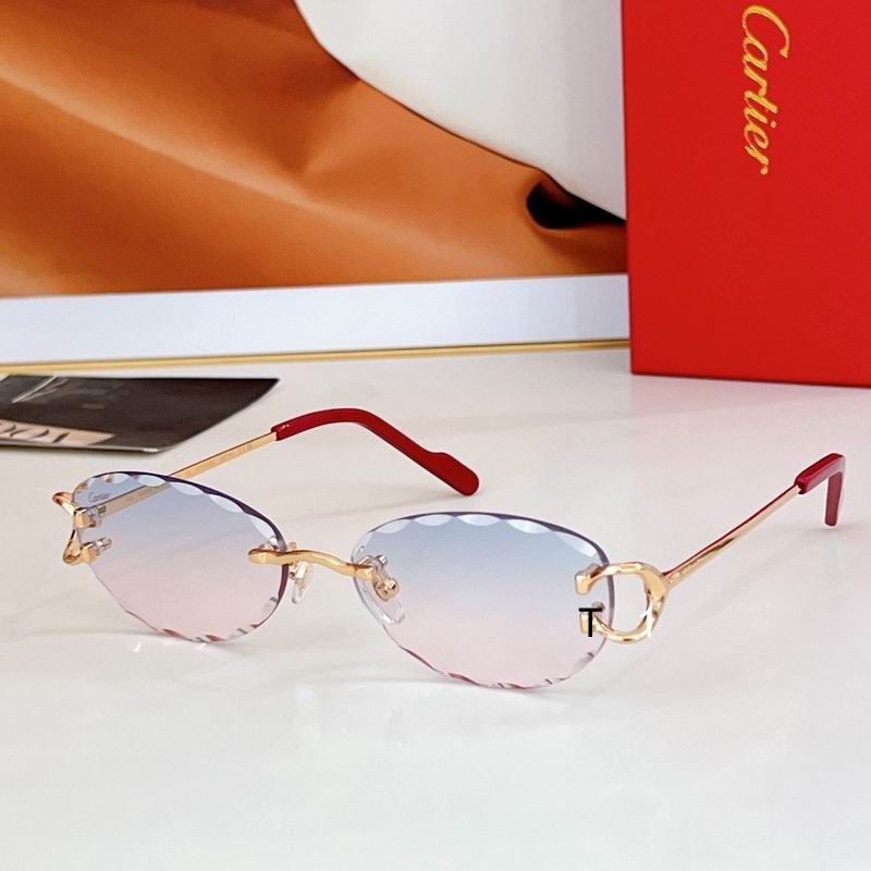 Cartier CT0599S 55 17-142 a06