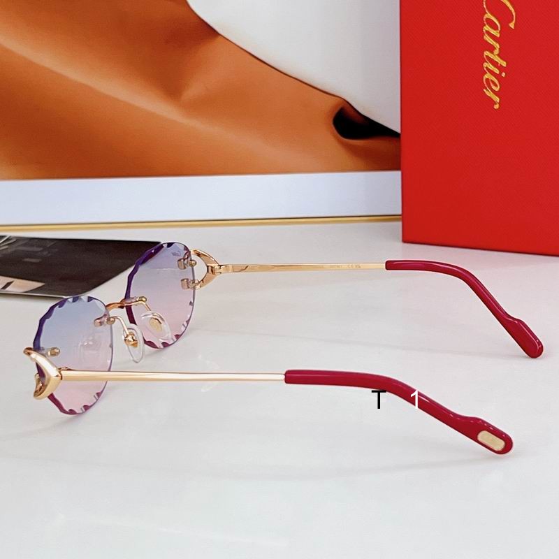 Cartier CT0599S 55 17-142 a07