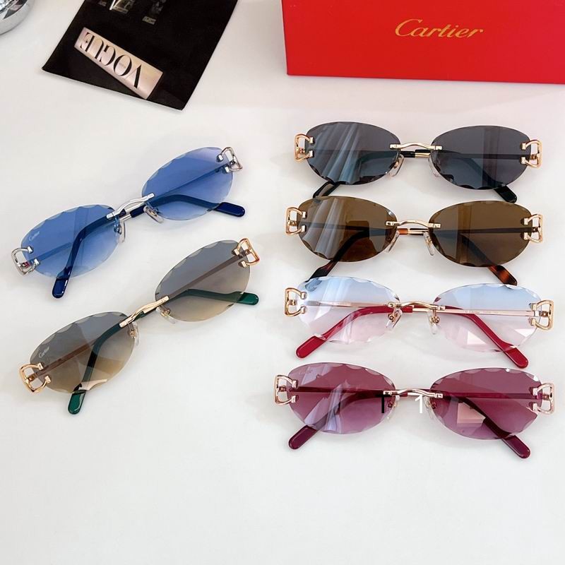 Cartier CT0599S 55 17-142 a09