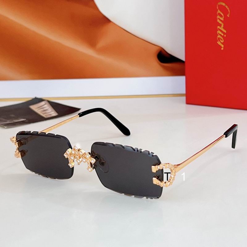 Cartier CT0678 57-17-142 A02