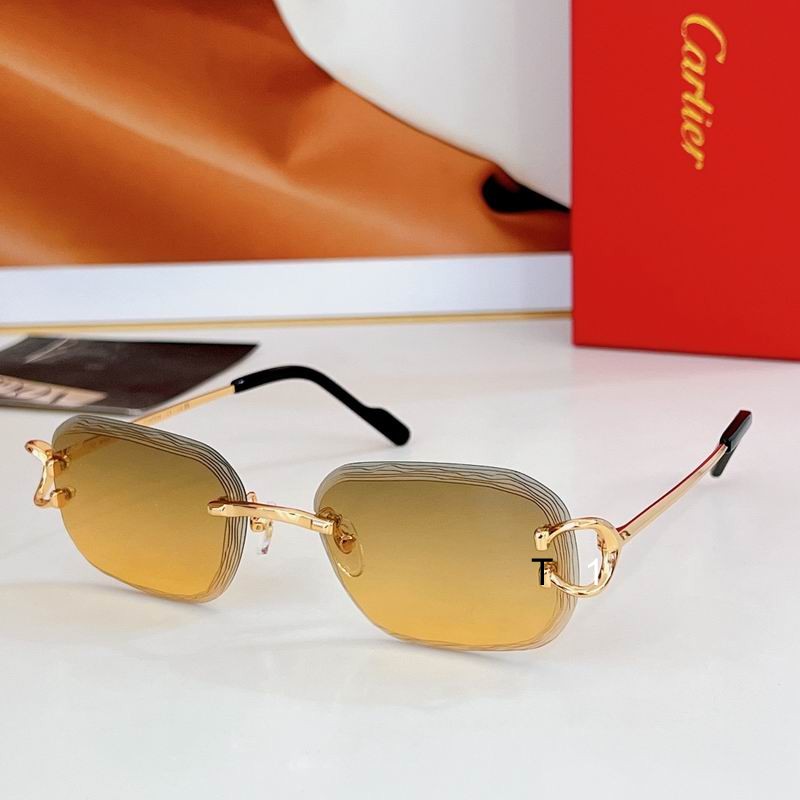 Cartier CT0733S 58 17-145 a03