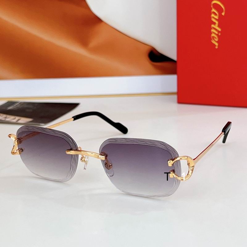 Cartier CT0733S 58 17-145 a05