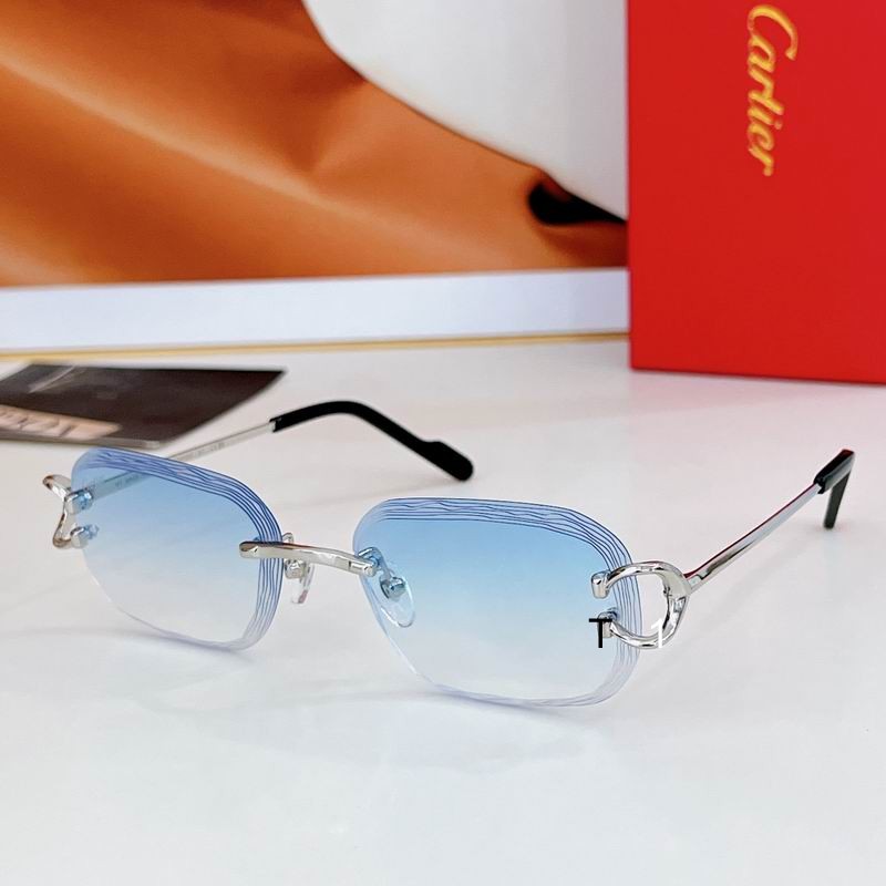 Cartier CT0733S 58 17-145 a06