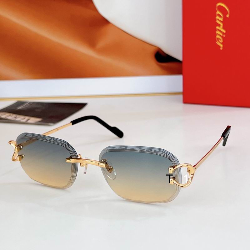 Cartier CT0733S 58 17-145 a07