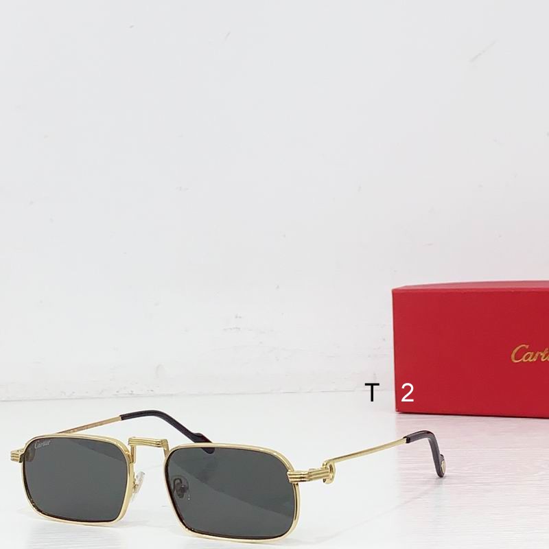 Cartier CT0776S 145 b01