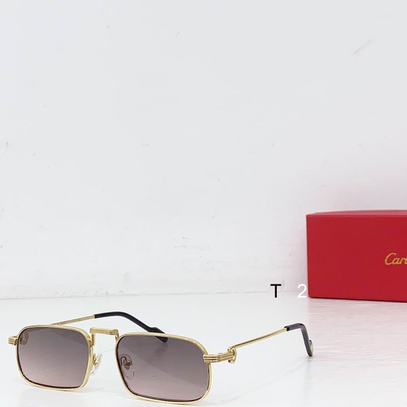 Cartier CT0776S 145 b03