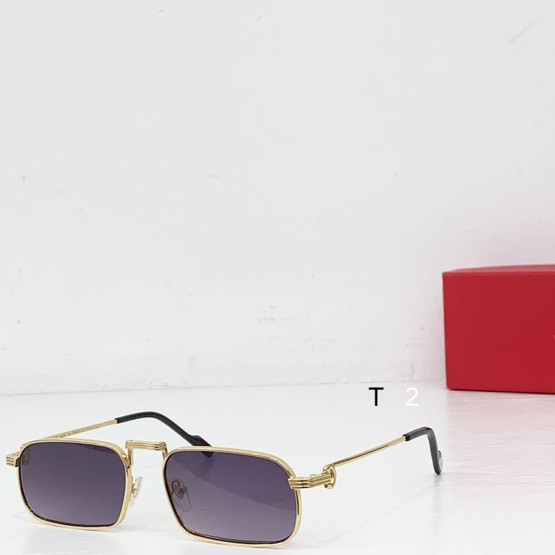 Cartier CT0776S 145 b05