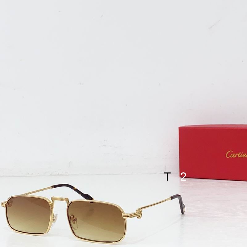 Cartier CT0776S 145 b06