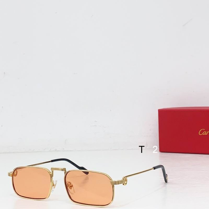 Cartier CT0776S 145 b08