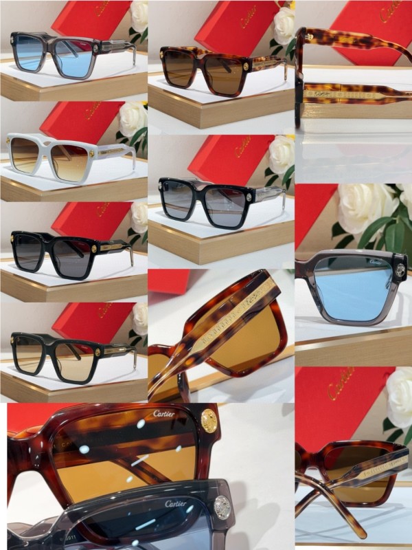 Cartier Glasses 08smh03 (10)