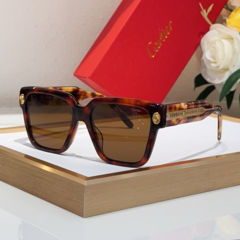 Cartier Glasses 08smh03 (5)