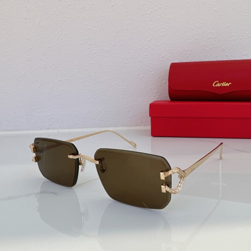 Cartier Glasses 08smh04 (4)