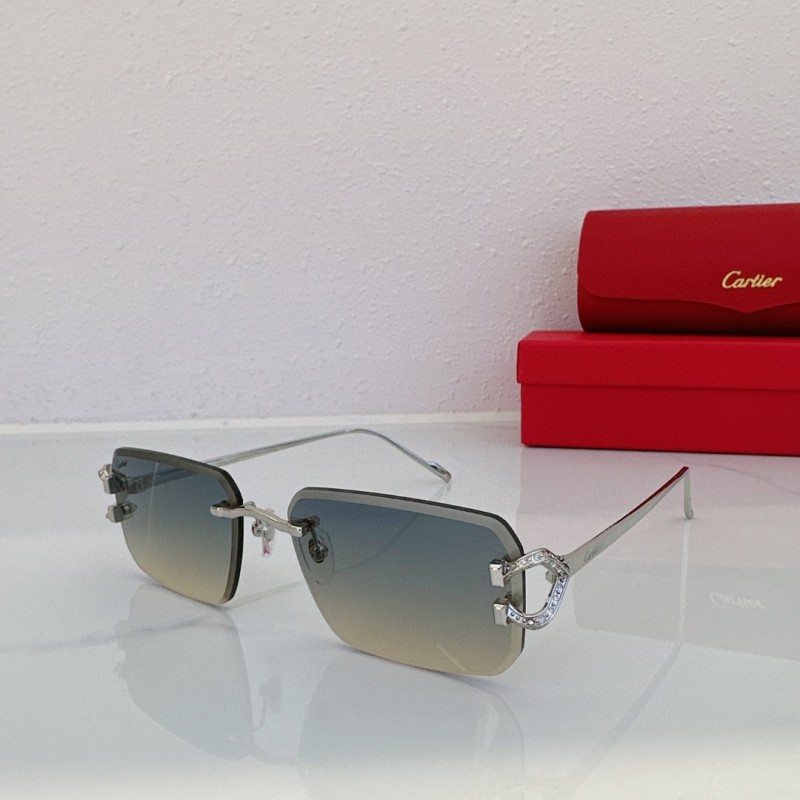 Cartier Glasses 08smh04 (8)