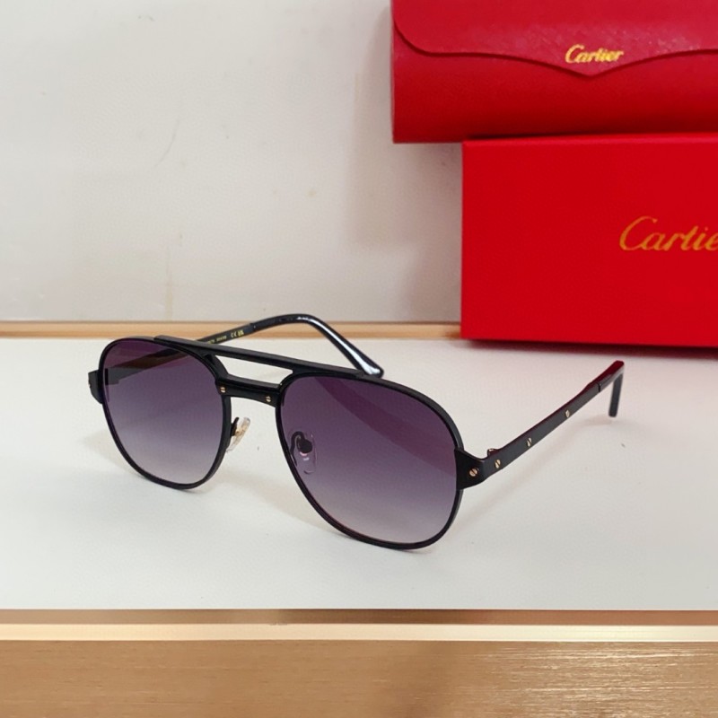 Cartier Glasses 08smh07 (1)