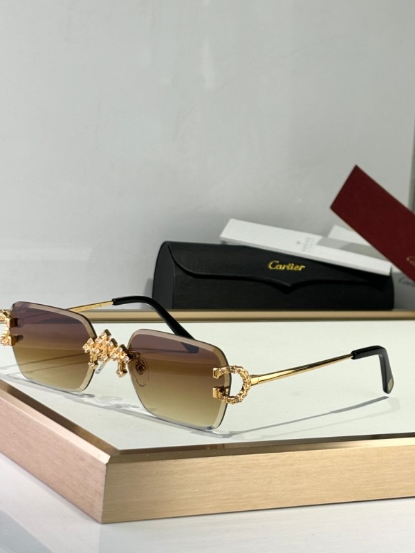 Cartier Glasses 08smh09 (1)