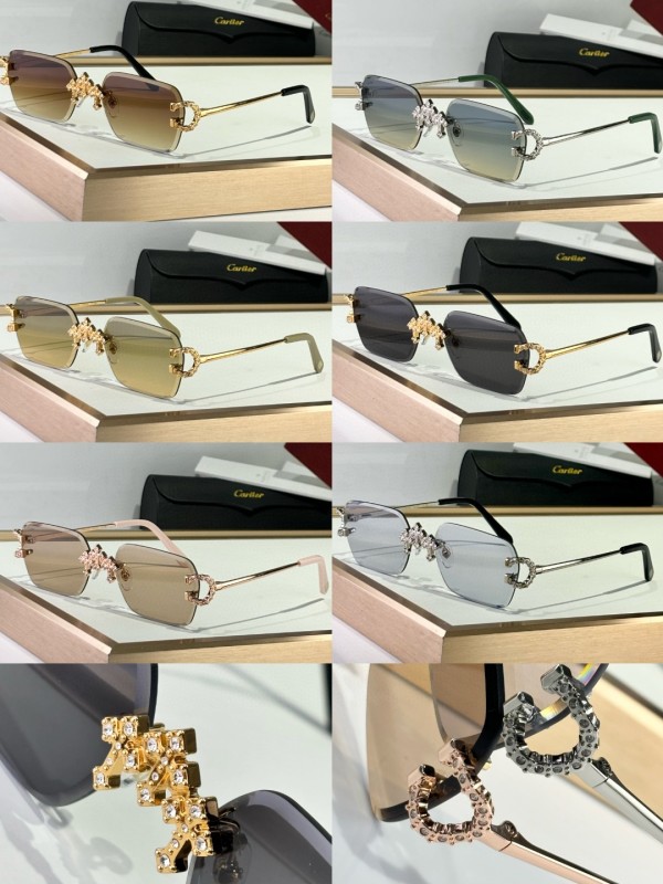 Cartier Glasses 08smh09 (10)