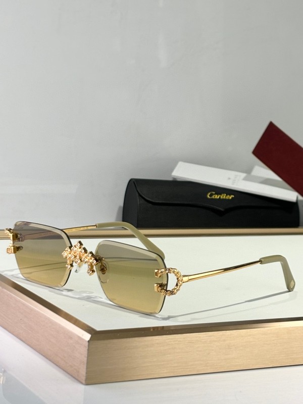 Cartier Glasses 08smh09 (2)