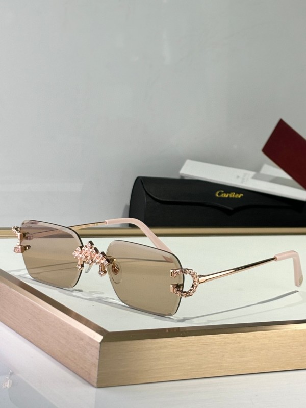 Cartier Glasses 08smh09 (3)