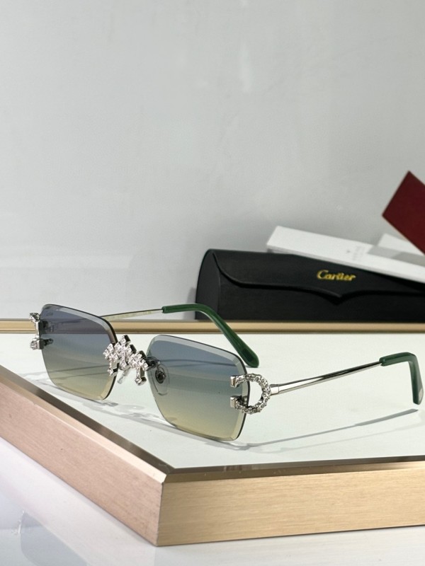 Cartier Glasses 08smh09 (5)