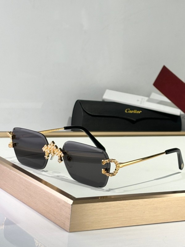 Cartier Glasses 08smh09 (6)