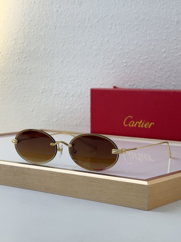 Cartier Glasses 08smh10 (4)