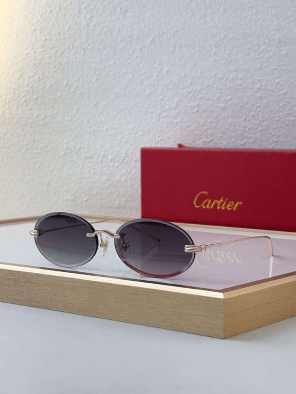 Cartier Glasses 08smh10 (6)