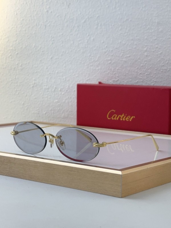 Cartier Glasses 08smh10 (7)