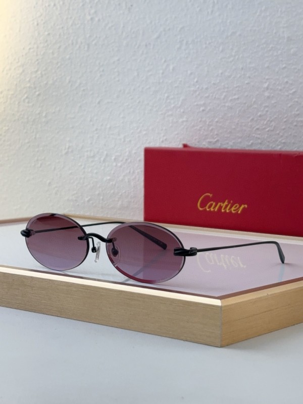 Cartier Glasses 08smh10 (8)