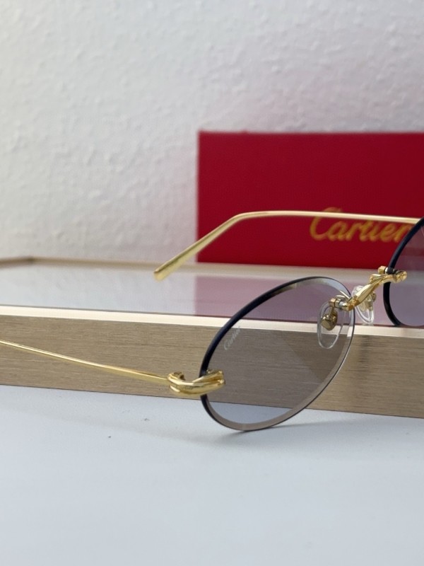 Cartier Glasses 08smh10 (9)
