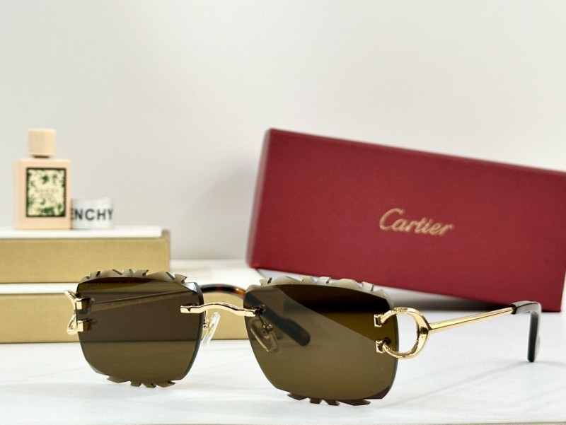 Cartier Glasses 08smh100 (5)