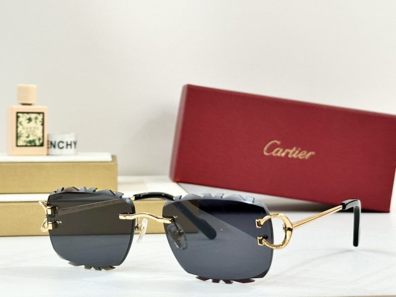 Cartier Glasses 08smh100 (6)