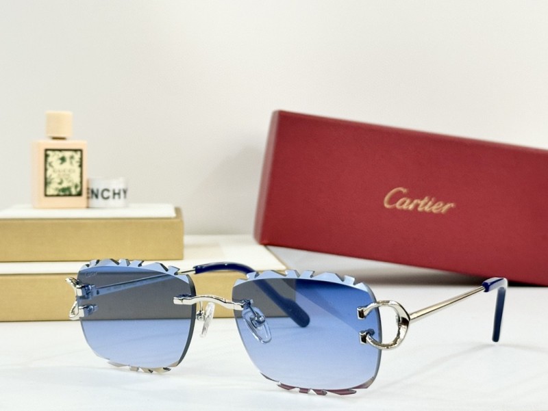 Cartier Glasses 08smh100 (7)