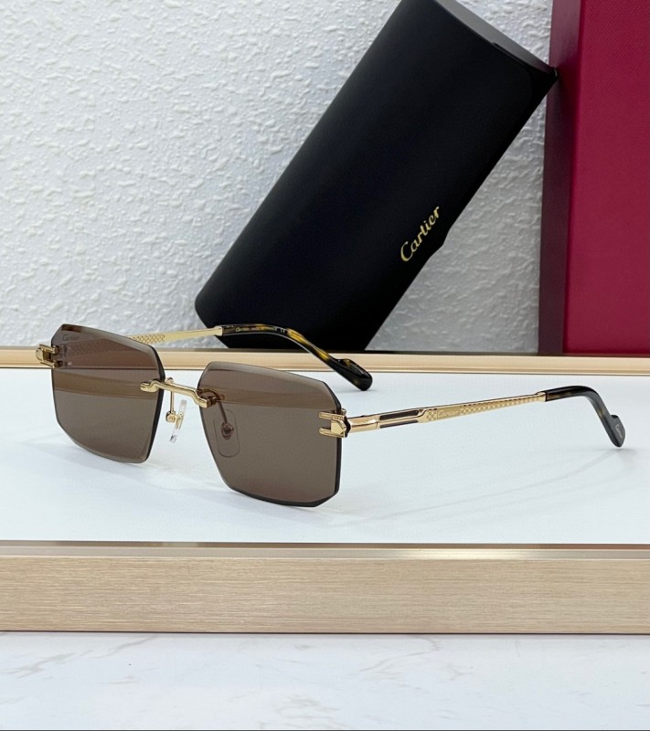 Cartier Glasses 08smh102 (2)