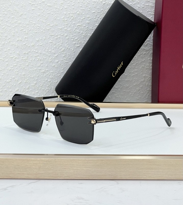 Cartier Glasses 08smh102 (4)