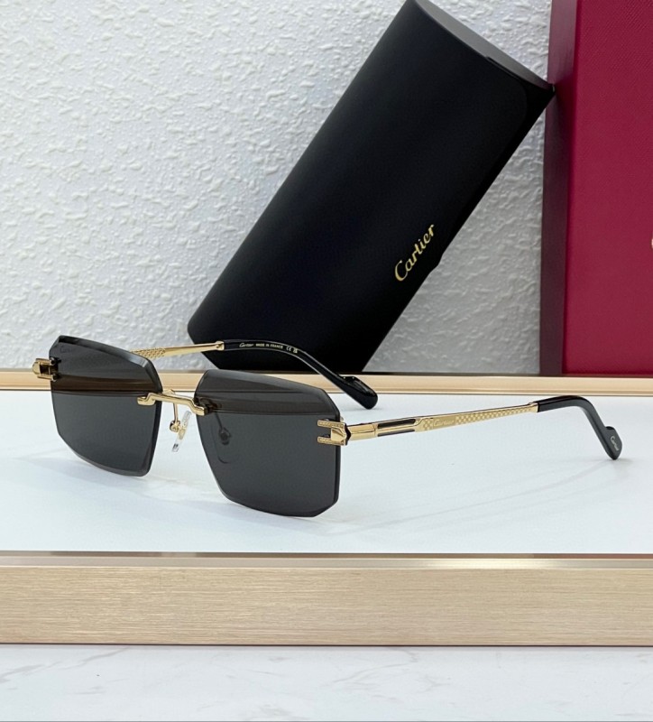 Cartier Glasses 08smh102 (5)