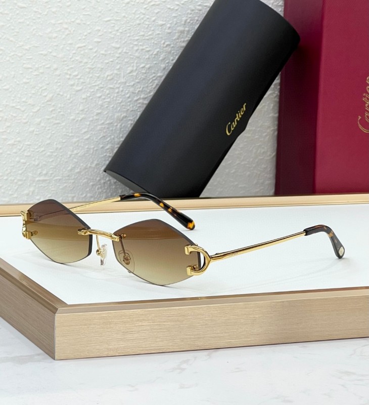 Cartier Glasses 08smh103 (2)