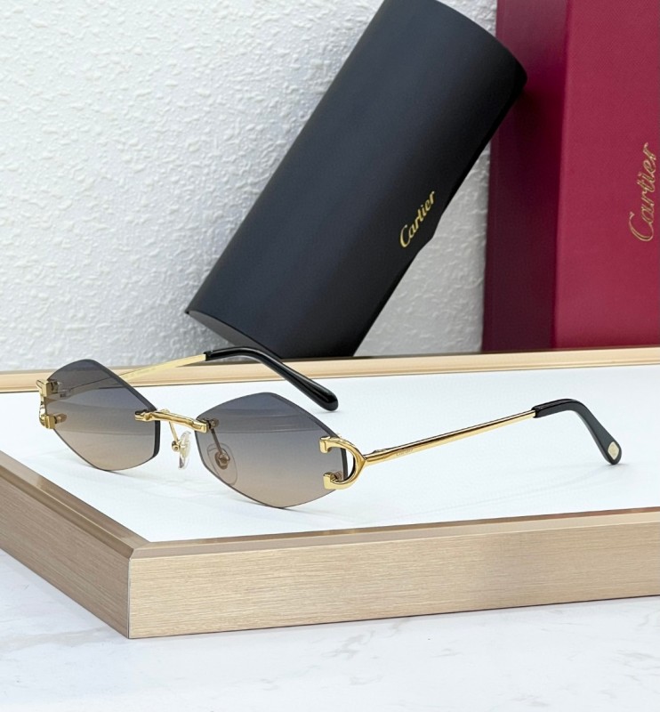 Cartier Glasses 08smh103 (4)