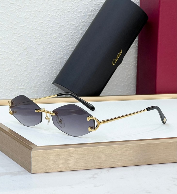 Cartier Glasses 08smh103 (7)