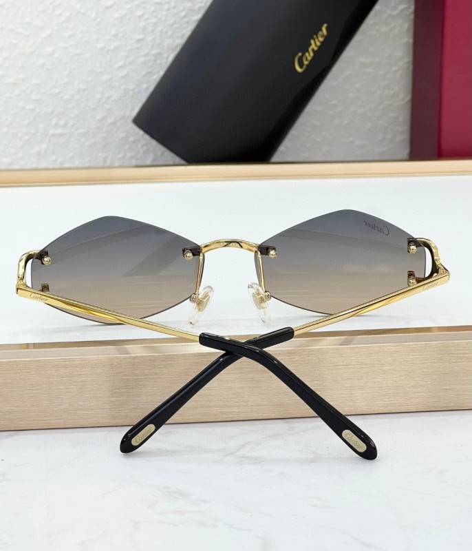 Cartier Glasses 08smh103 (9)