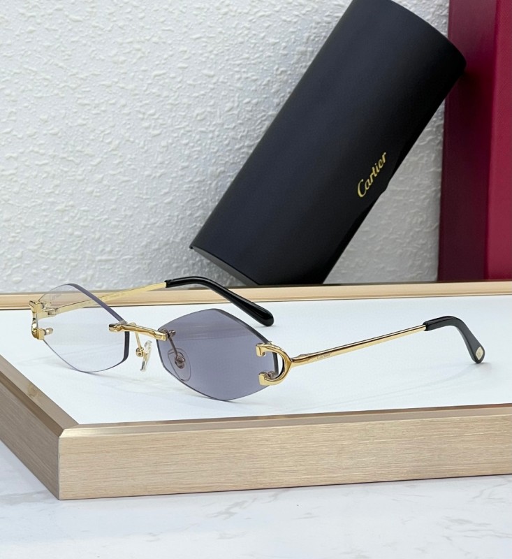 Cartier Glasses 08smh104 (3)