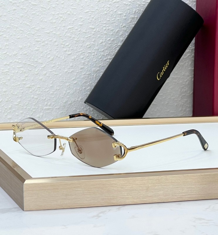 Cartier Glasses 08smh104 (4)