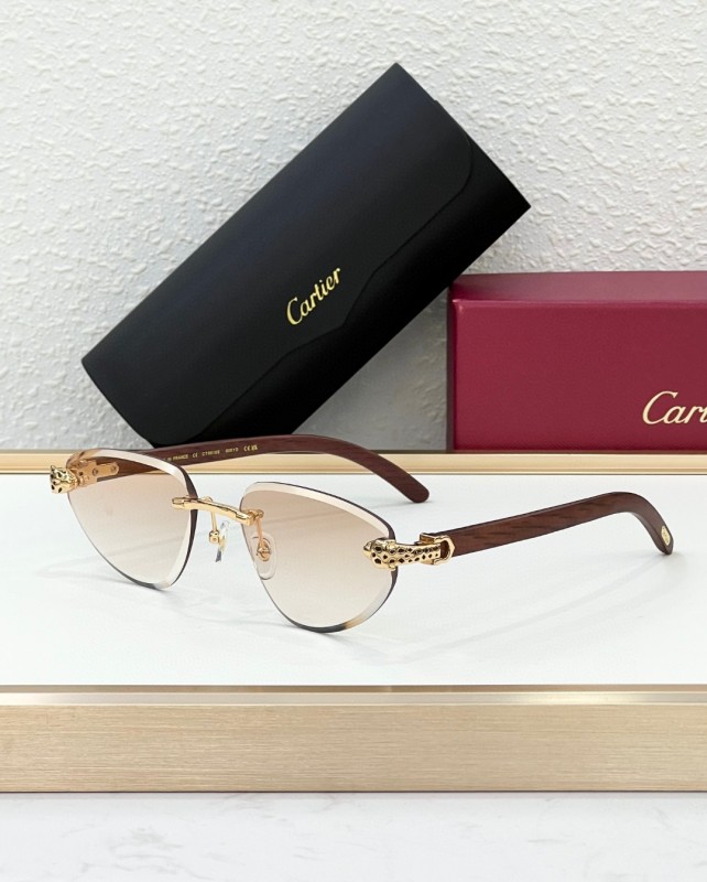 Cartier Glasses 08smh105 (1)