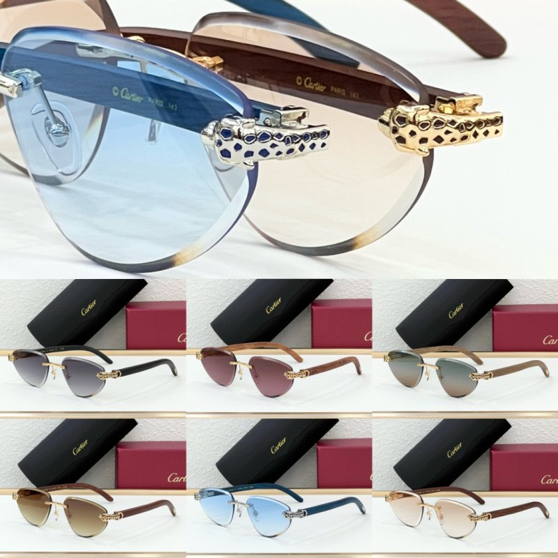 Cartier Glasses 08smh105 (10)