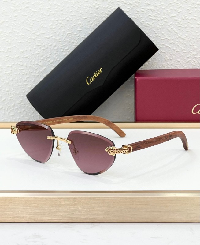 Cartier Glasses 08smh105 (4)