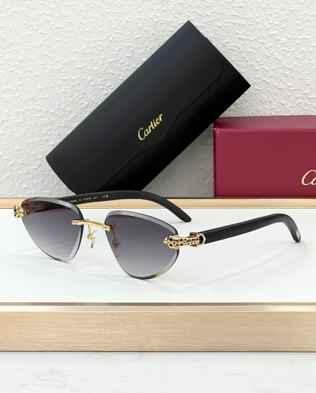 Cartier Glasses 08smh105 (5)