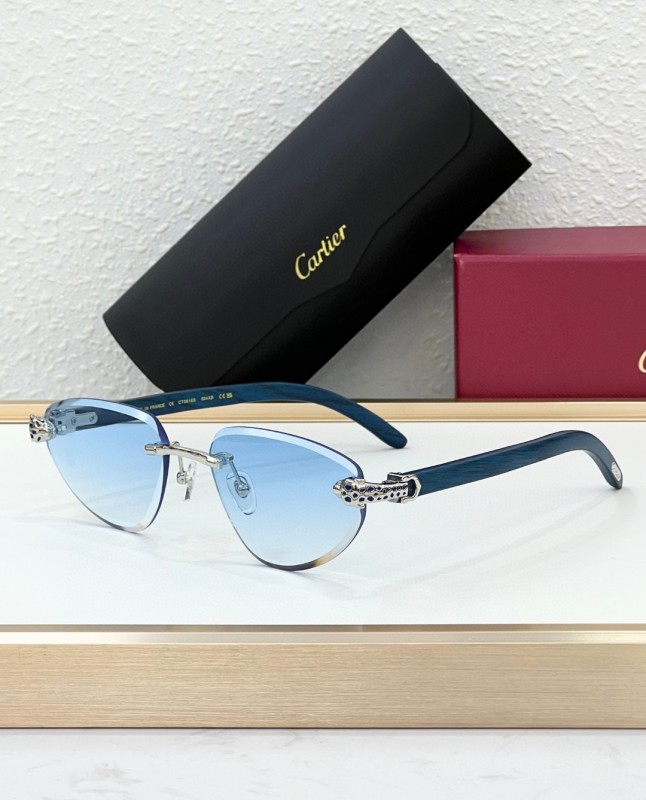 Cartier Glasses 08smh105 (6)