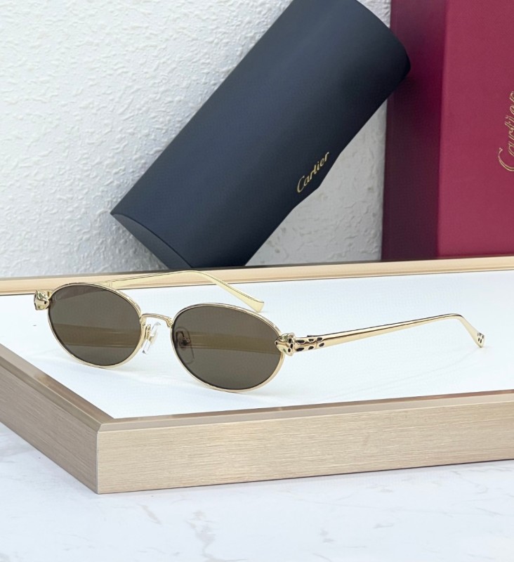 Cartier Glasses 08smh106 (1)