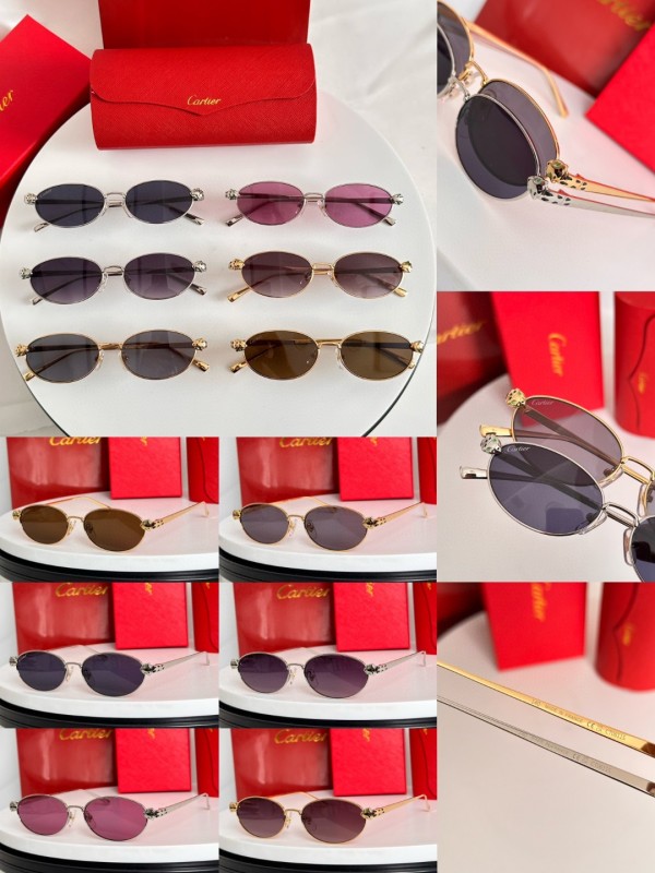 Cartier Glasses 08smh107 (10)