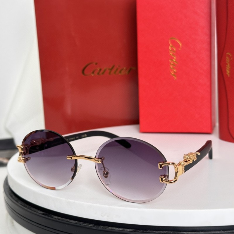 Cartier Glasses 08smh109 (5)