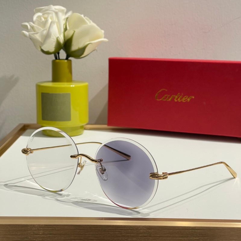 Cartier Glasses 08smh11 (2)